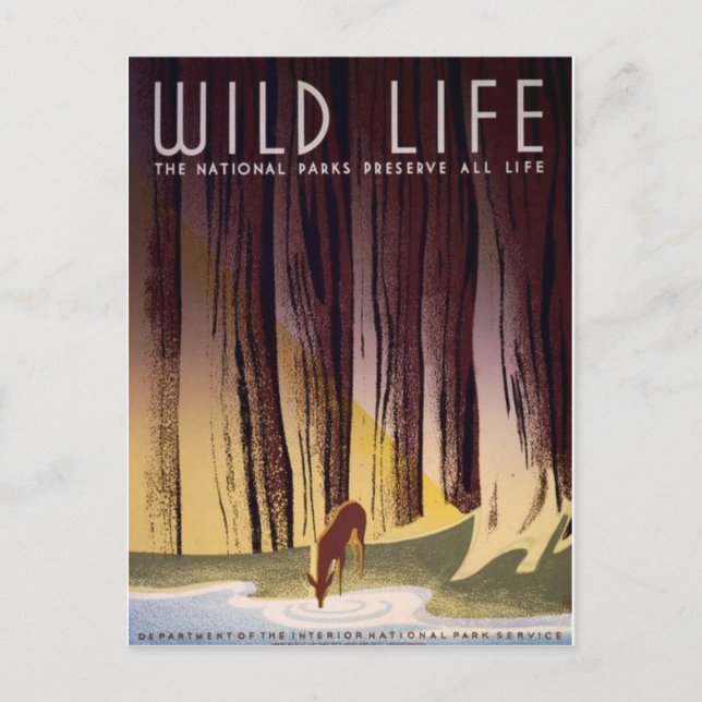 WPA National Parker Poster vykort (Framsida)