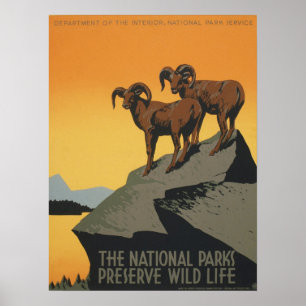 WPA Vintage National Parker Wildlife Travel Poster