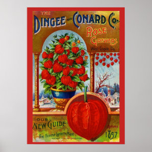 WQ-POSTER: Kinesisk Lantern Poster