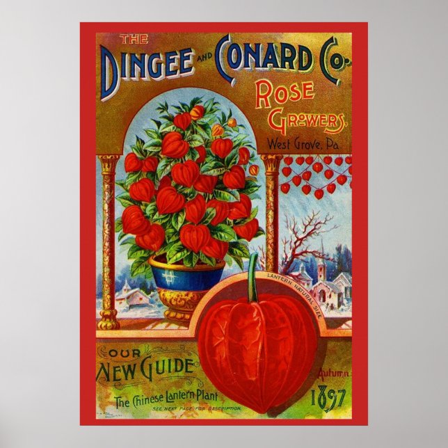 WQ-POSTER: Kinesisk Lantern Poster (Framsidan)