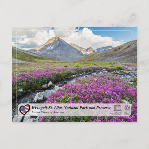 Wrangell-St. Elias National Park och Preserve Vykort