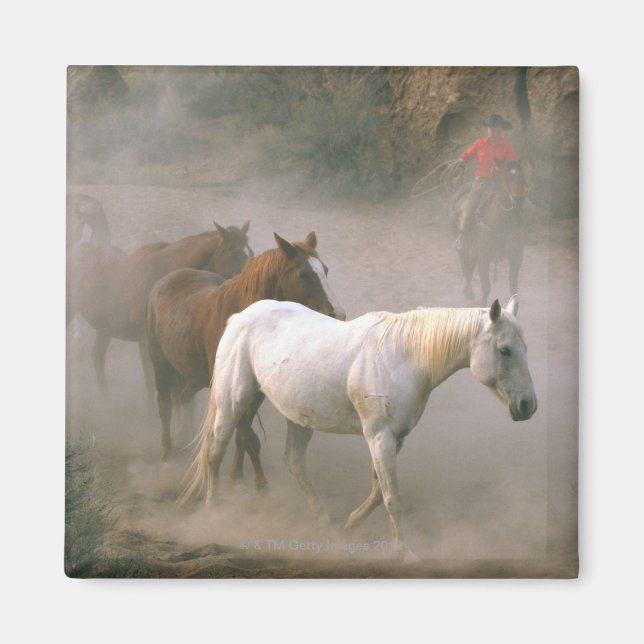 Wrangler med hästar magnet (Framsidan)