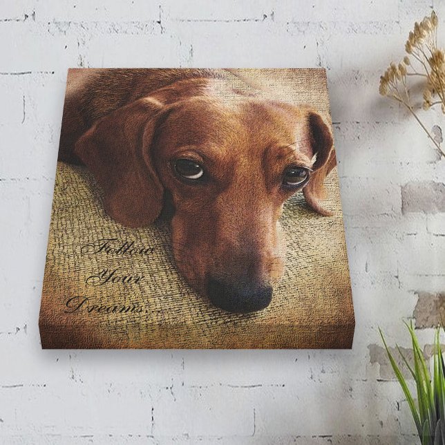 Wrap för Dachshund Porträtt Canvas (Skapare uppladdad)
