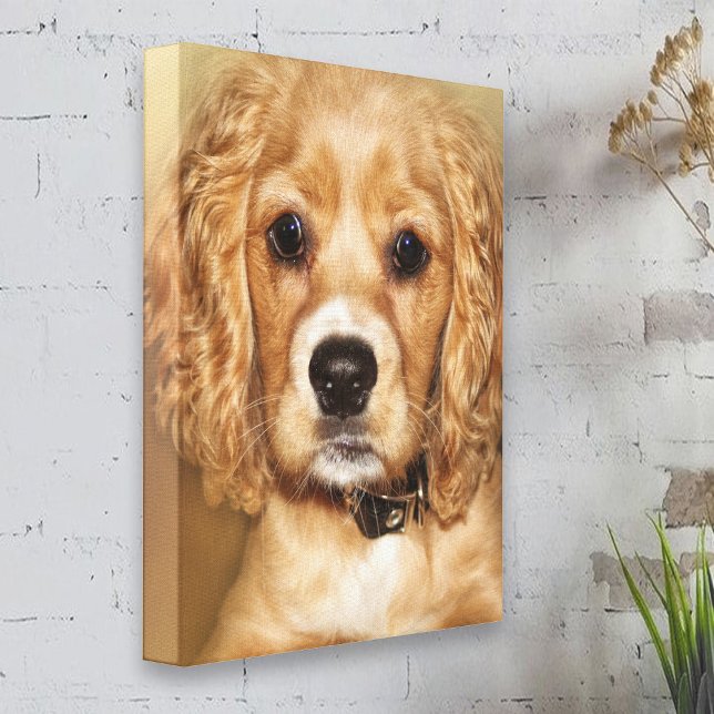 Wrap från Cocker Spain Puppy Porträtt Canvas (Skapare uppladdad)