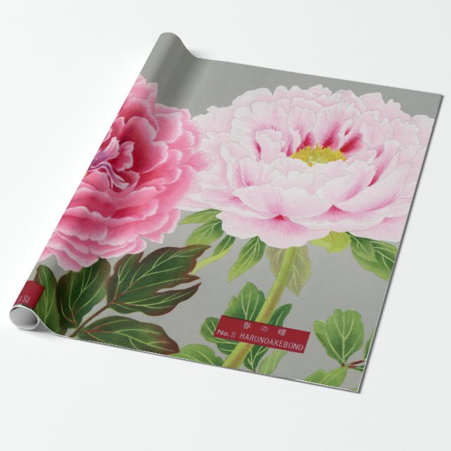 Wrappa Papper JAPANESE BLOMMIGT PRINT ROSA PEONIES Presentpapper (Utrullad)