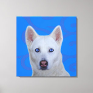 Wrapped Canvas, Vita Siberian husky Canvastryck