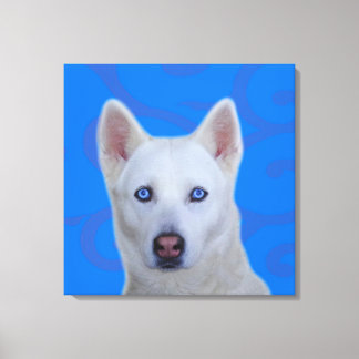 Wrapped Canvas, Vita Siberian husky Canvastryck