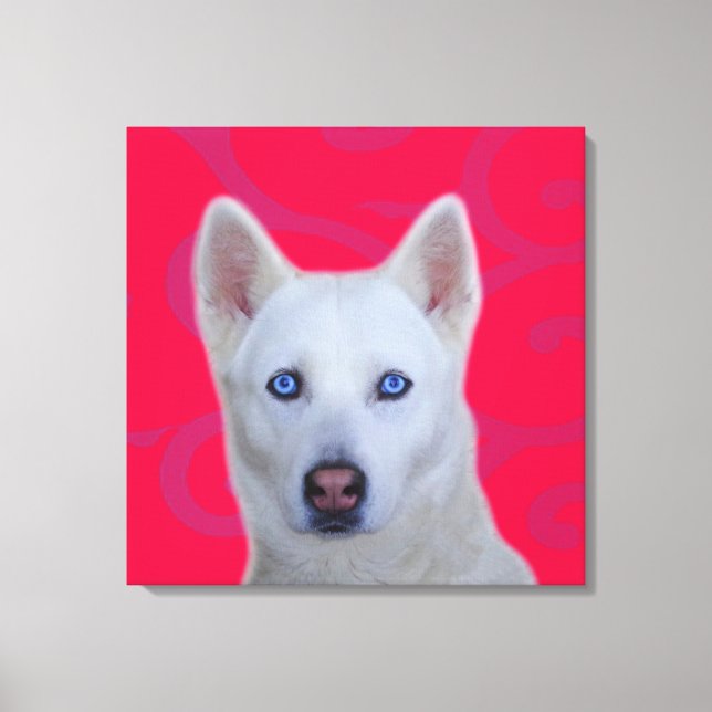 Wrapped Canvas, Vita Siberian husky Canvastryck (Framsida)