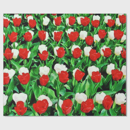 Wrapping Paper Presentpapper