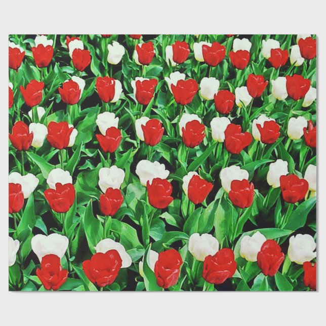 Wrapping Paper Presentpapper (Platt)