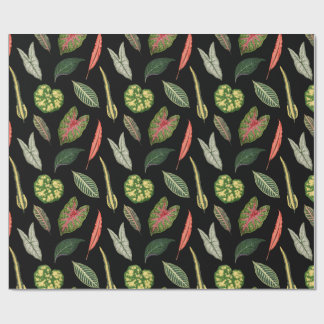 Wrapping Paper Presentpapper