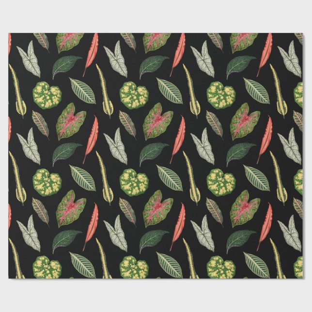 Wrapping Paper Presentpapper (Platt)