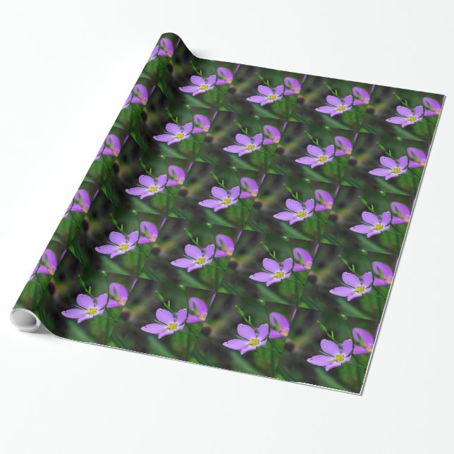 Wrapping Papper Wildblomma Sabatia i Lavender Presentpapper (Utrullad)