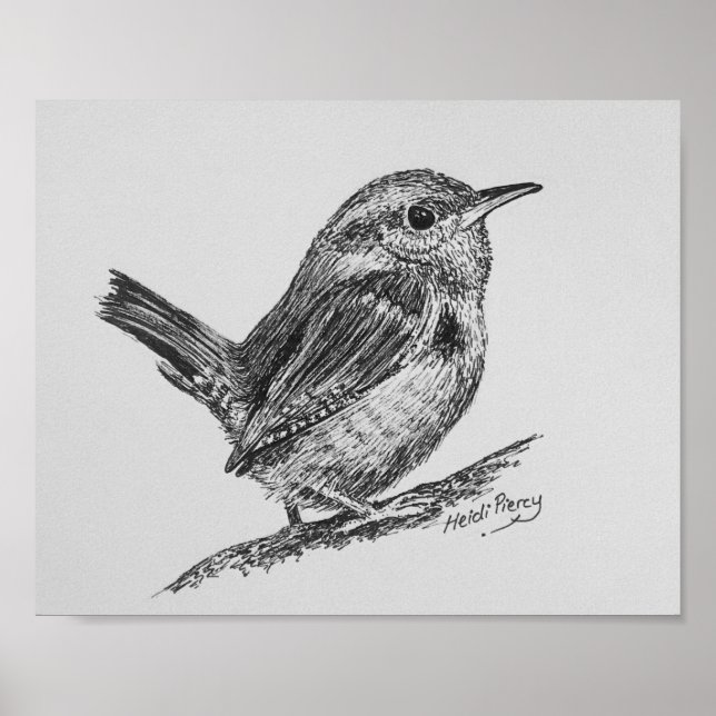 Wren Bird Art Poster (Framsidan)