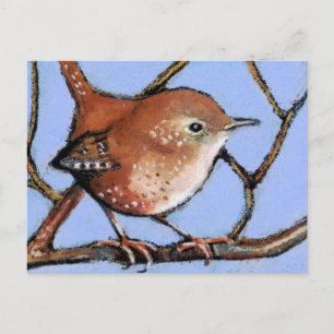 WREN, BIRD, i Oljekpastel Vykort