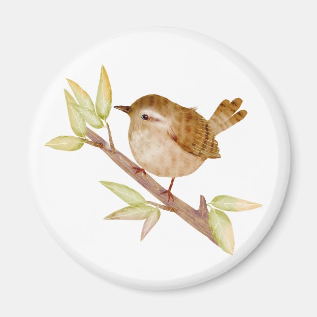 Wren Bird Magnets Magnet (Framsidan)