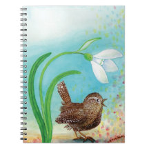 Wren Bird Sjunga vid Dawn i Vår