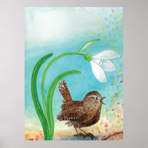 Wren Bird Sjunga vid Dawn i Vår Poster