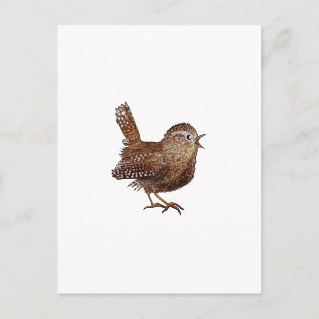 Wren Bird sjunger högt och vackert sång Vykort (Framsida)