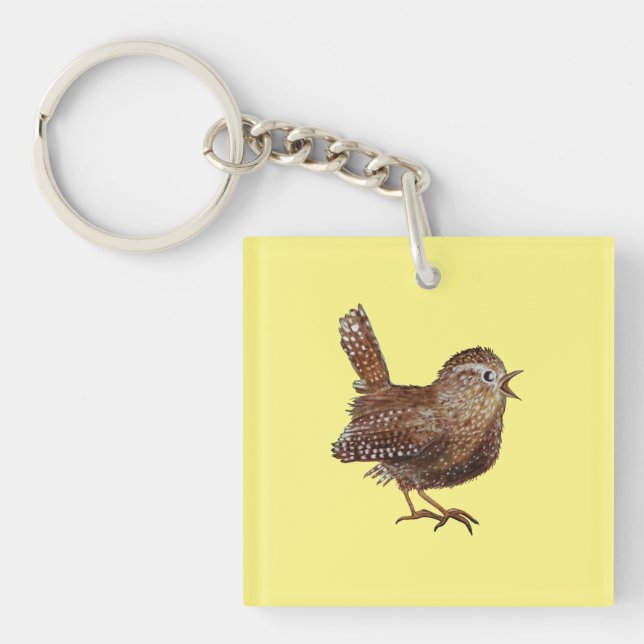 Wren Bird (Troglodytes Troglodytes) (Framsidan)