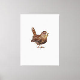 Wren Bird (Troglodytes Troglodytes) Canvastryck