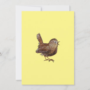 Wren Bird (Troglodytes Troglodytes) Inbjudningar