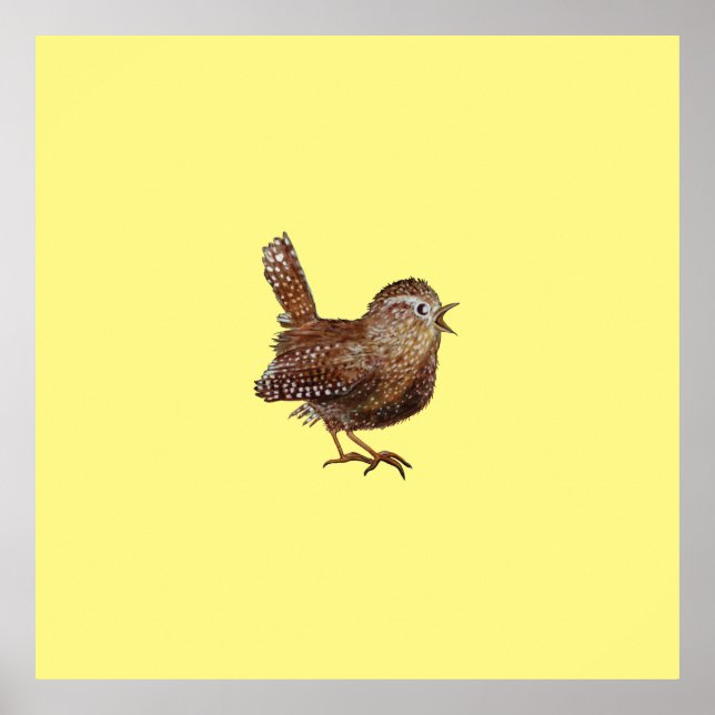 Wren Bird (Troglodytes Troglodytes) Poster (Framsidan)