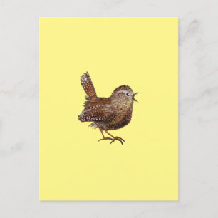 Wren Bird (Troglodytes Troglodytes) Vykort