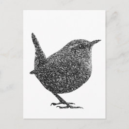 Wren (Black and White) Vykort