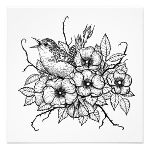 Wren bouquet fototryck