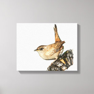 Wren Canvastryck