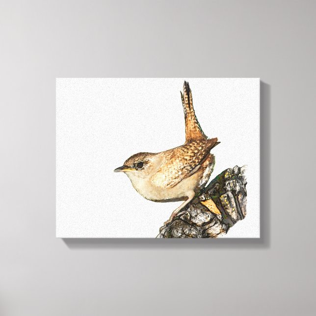 Wren Canvastryck (Framsida)
