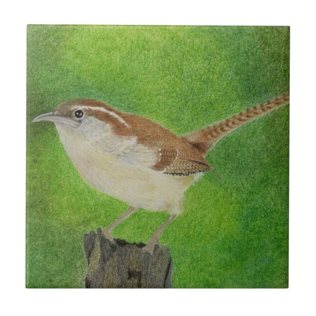 Wren Kakelplatta (Framsidan)