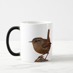 Wren Magisk Mugg
