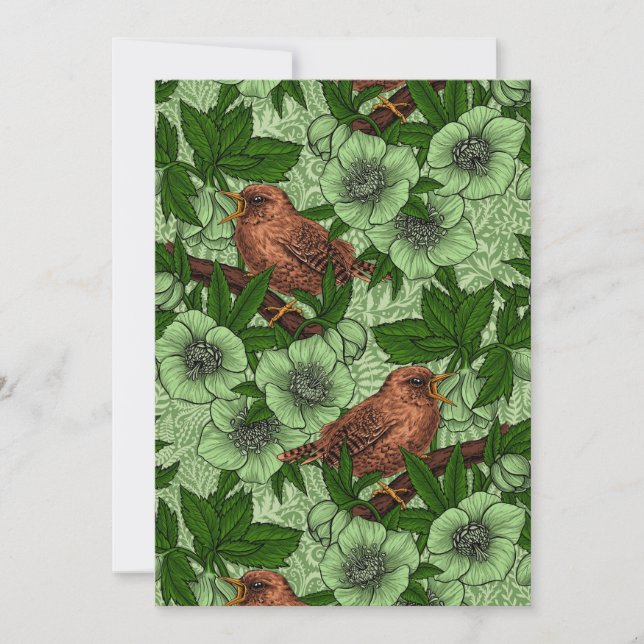 Wren och hellebore, ljust grönt (Framsida)