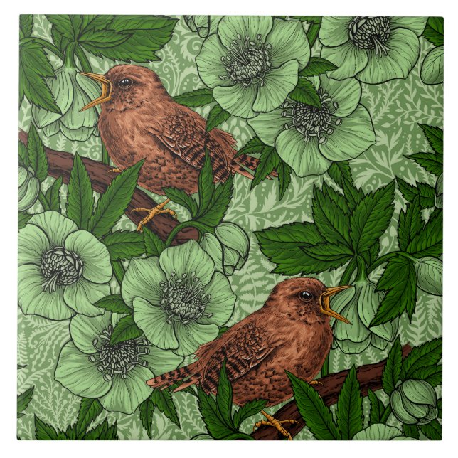 Wren och hellebore, ljust grönt kakelplatta (Framsidan)