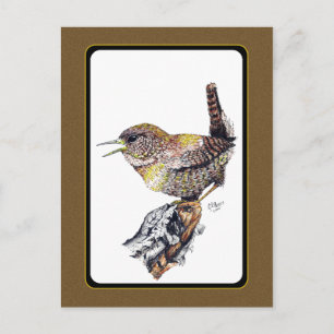 Wren Postcard i Bläck Vykort