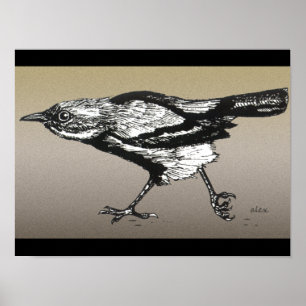Wren vid Springa Poster