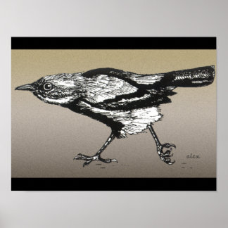 Wren vid Springa Poster
