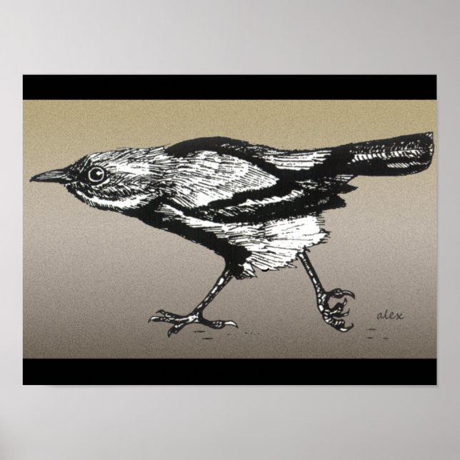 Wren vid Springa Poster (Framsidan)