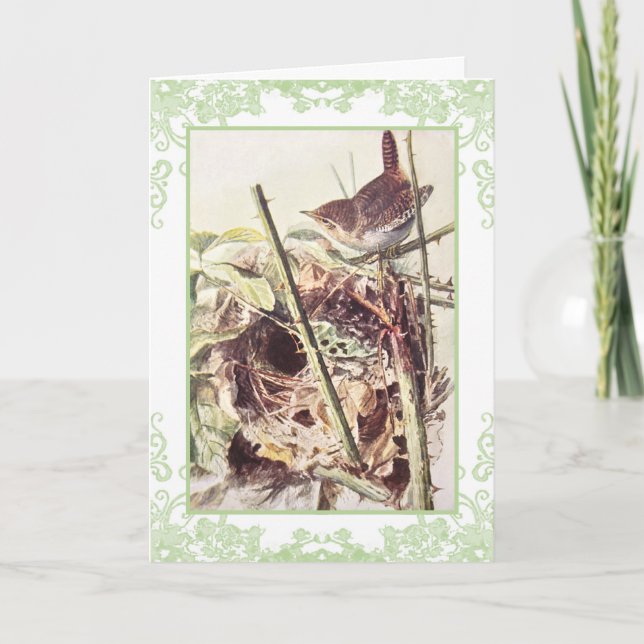 Wren-vintagens födelsedagskort kort (Framsida)