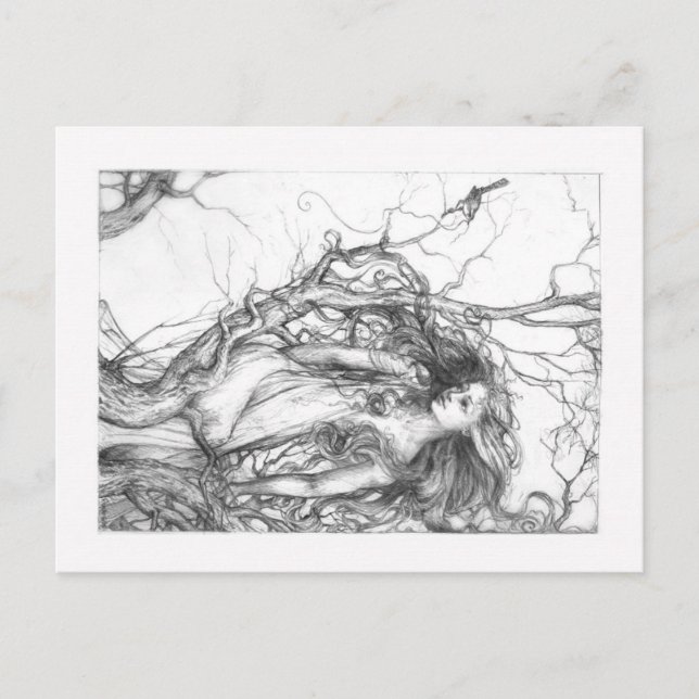 Wren Vykort (Framsida)