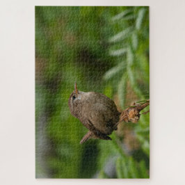 Wren (Winterkoninkje) Pussel