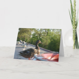 Wrenbury Anka Llangollen Canal Notecard Kort