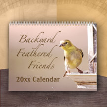 Wrens Cardinals Hummingbird Woodpeckers Bird