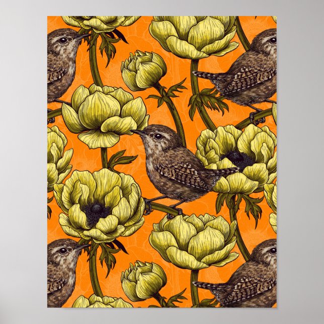 Wrens in the yellow anemone garden poster (Framsidan)