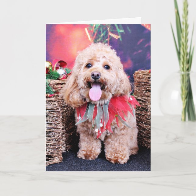 Wriggly jul - Cockapoo - Helgkort (Framsida)