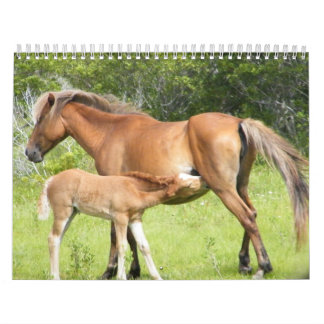 Wright Corolla 2009-7-23 00118 Kalender