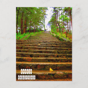 Wright Park i Baguio Vykort
