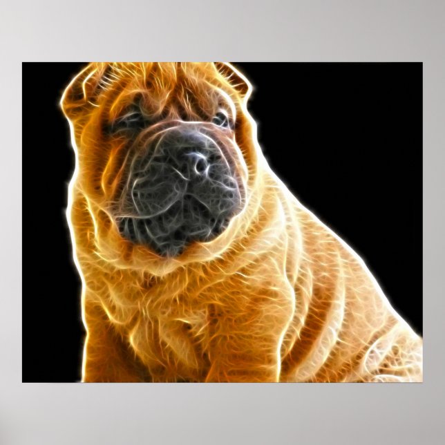 Wrinkles, den kinesiska Hund Shar Pei Puppy Poster (Framsidan)